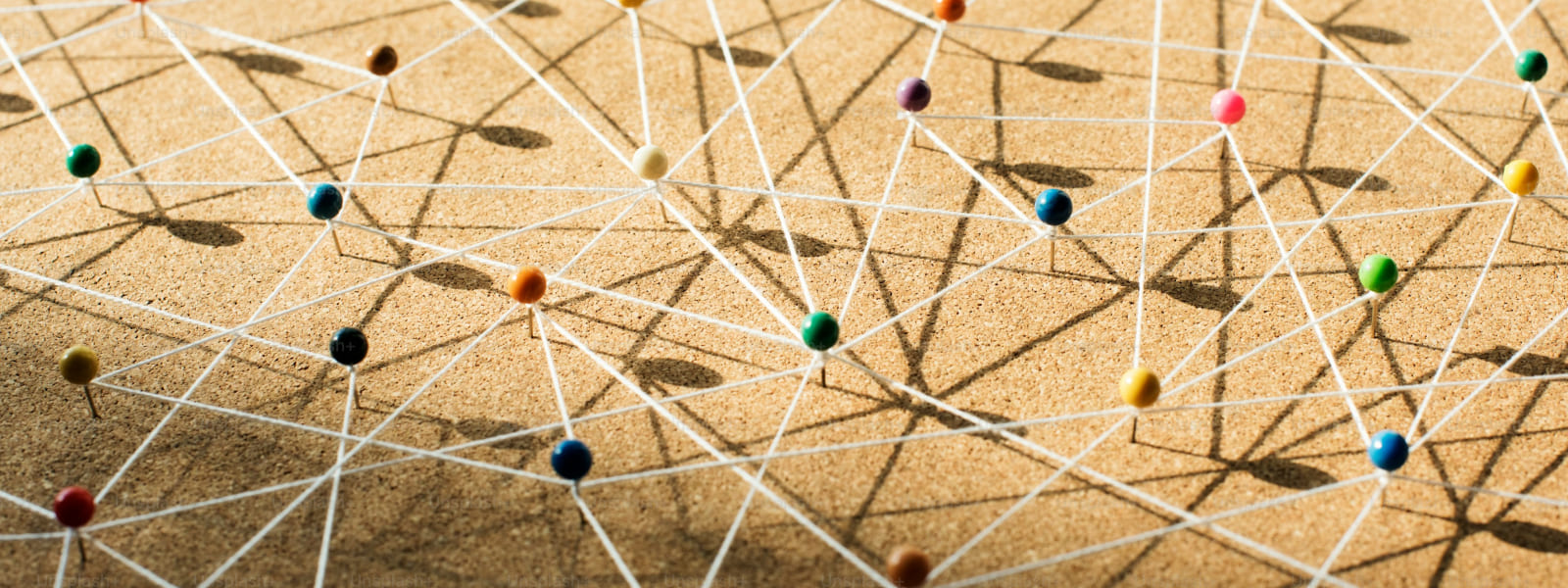 الخطة الدراسية للسنة التحضيرية - خطة B